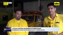 Lucha contra incendios forestales: bomberos dicen estar rebasados y piden apoyo