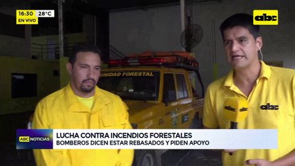 Lucha contra incendios forestales: bomberos dicen estar rebasados y piden apoyo