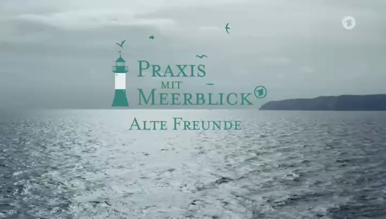Praxis mit Meerblick -07- Alte Freunde