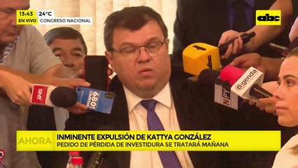 Caso Kattya González: impulsores argumentan la pérdida de investidura