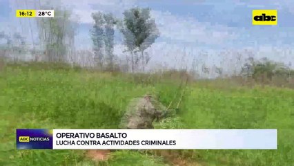 Operativo Basalto: millonario perjuicio a organizaciones delictivas