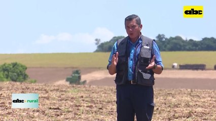 Video: lanzamiento de productos para diferentes etapas de la soja de BASF