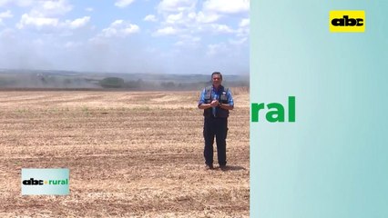 Video: agricultura regenerativa, uso de biológicos, químicos y drones