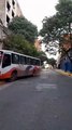 Video del bus que chocó contra un árbol Ttras perder los frenos