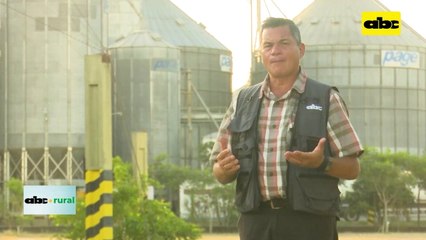 Video: mejoramiento genético, pasando de un rodeo criollo a Brangus registrados