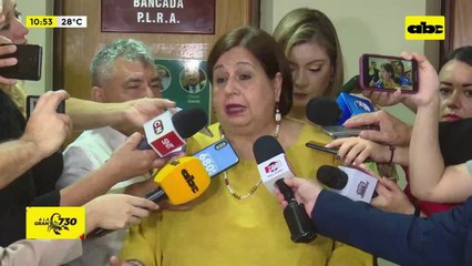 “No vamos a permitir un neo stronismo”: oposición busca formar mayoría