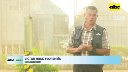 Video: abonos verdes para suelos arenosos de Volendam