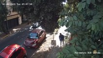 La Policía detuvo a un presunto tortolero
