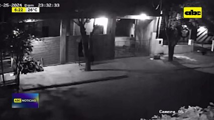 Video: Un perrito robado fue recuperado