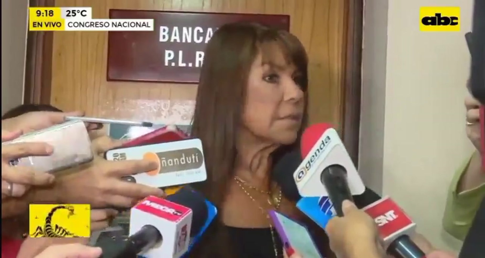 ⁣Celeste Amarilla Sobre Situación Política