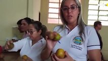Bella Vista Norte: concejales constataron mala calidad de alimentos del almuerzo escolar
