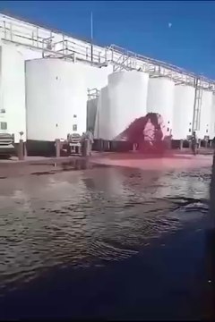 Se perdieron más de 15.000 litros de vino en Mendoza, Argentina