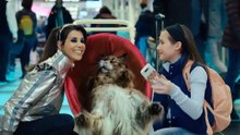 Chien & Chat: Trailer HD