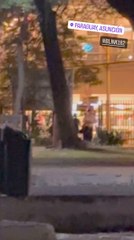 Fans de Blink-182 buscan el regalo escondido