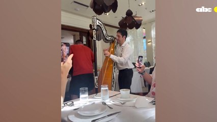 Con arpa paraguaya intepretan canción de Blink-182