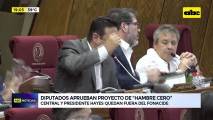 Video: Diputados dan media sanción a proyecto Hambre cero y rectora de la UNA celebra la aprobación