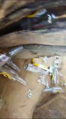 Torneos de fútbol derivan en basura, ruido y alcohol