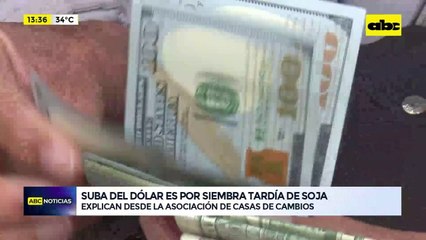Video: la suba del dólar es por la siembra tardía de soja, según la Asociación de Casa de Cambios