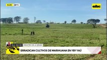 Video: Senad investiga supuesta “narcoavioneta” paraguaya derribada en Brasil