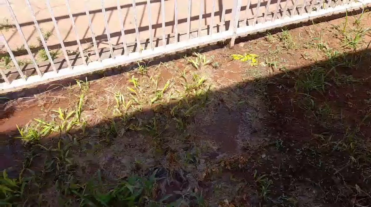Perdida De Agua