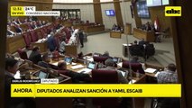Video: diputado cartista fustiga labor de la prensa en defensa de Yamil Esgaib