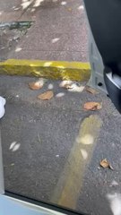 Video por el que tribunal condenó a policías por supuesta coima y privación ilegítima de libertad