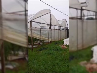 Un Joven Que Estaba Por Convertirse En Padre Falleció Por La Caída De Un Rayo Mientras Trabajaba En La Huerta De Su Patrón