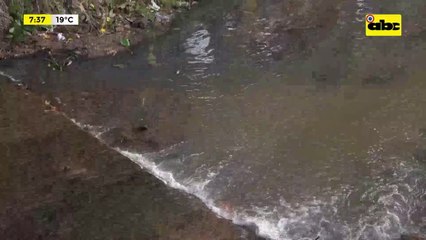 Video: Realizan limpieza del arroyo Itay para evitar desbordes