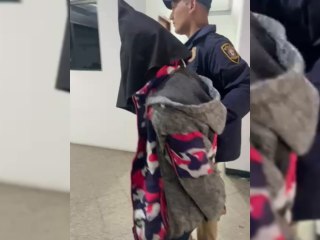 Detención Del Principal Sospechoso Del Hurto De Dos Violines De La Orquesta De Reciclados De Cateura