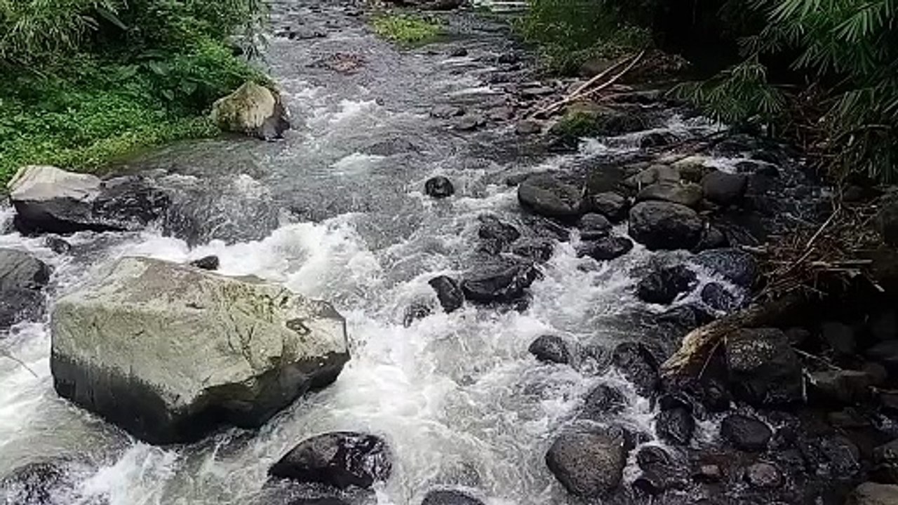 Nature sound