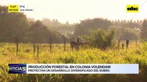 Abc Rural: producción forestal en Colonia Volendam
