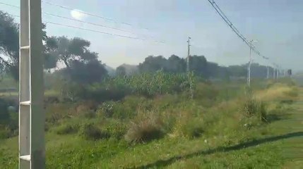 Incendio De Pastizal Pone En Peligro A Automovilistas