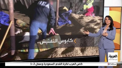 التلغراف البريطانية : شحنات مخدرات تُهرب من أميركا الجنوبية إلى أوروبا عبر سفن تحمل أبقارا