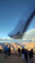 AI Hyper-Realistic Journey Through America’s Forests