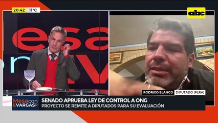 Ley de Control a ONG: el diputado Rodrigo Blanco sobre la aprobación del proyecto en el Senado