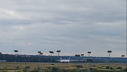 Avión aterrizó de emergencia tras chocar contra un pájaro