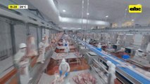 Exportación de carne vacuna de enero a junio: gracias a los envíos ingresaron unos US$ 766 millones