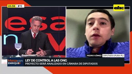 Ley de Control a ONG: el diputado Pedro Gómez sobre el proyecto de ley aprobado en el Senado