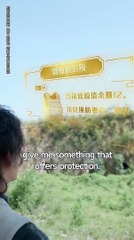 Shock Points Activated II - Rise and Dominate #Dramabox