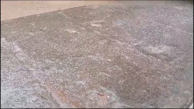 Ola de frío y heladas en Itapúa