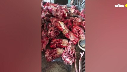 Intervienen cuatro frigoríficos por prácticas insalubres en Tablada Nueva