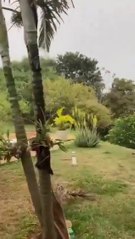 Brasil: cayó un avión en la zona rural de São Paulo