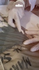 Día de la bandera: Mira cómo restauran la bandera del buque del Piraveve