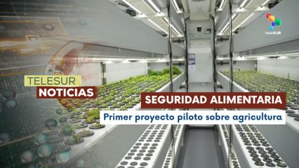 Agricultura vertical avanza en Barbados ante crisis climática
