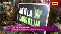 En el Día del Carrulim: visitamos el Paseo de los Yuyos en el Mercado 4