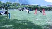MVI_3446