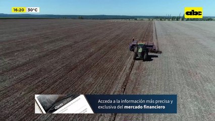 Caída de precio de la soja a nivel mundial: Capeco espera que clima ayude para aumento de cosecha