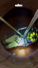 Bomberos rescatan a un gato que cayó a un pozo