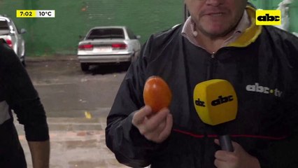 Mercado de Abasto: varían los precios del tomate