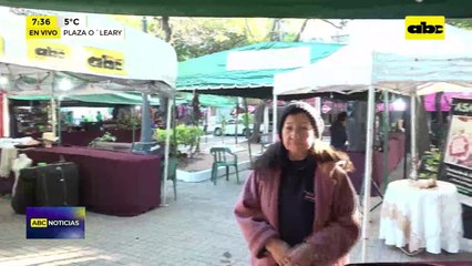 Video: Feria de artesanías y productos en la plaza O’Leary